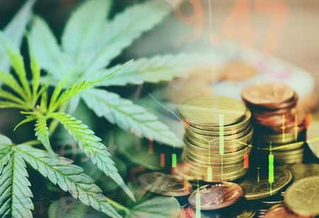 Boosting CBD Brand Visibility with PR