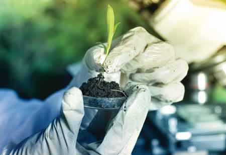 AI-Driven Insights for Better Yields and Sales in Cannabis